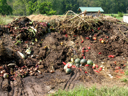 Biodynamic Compost
